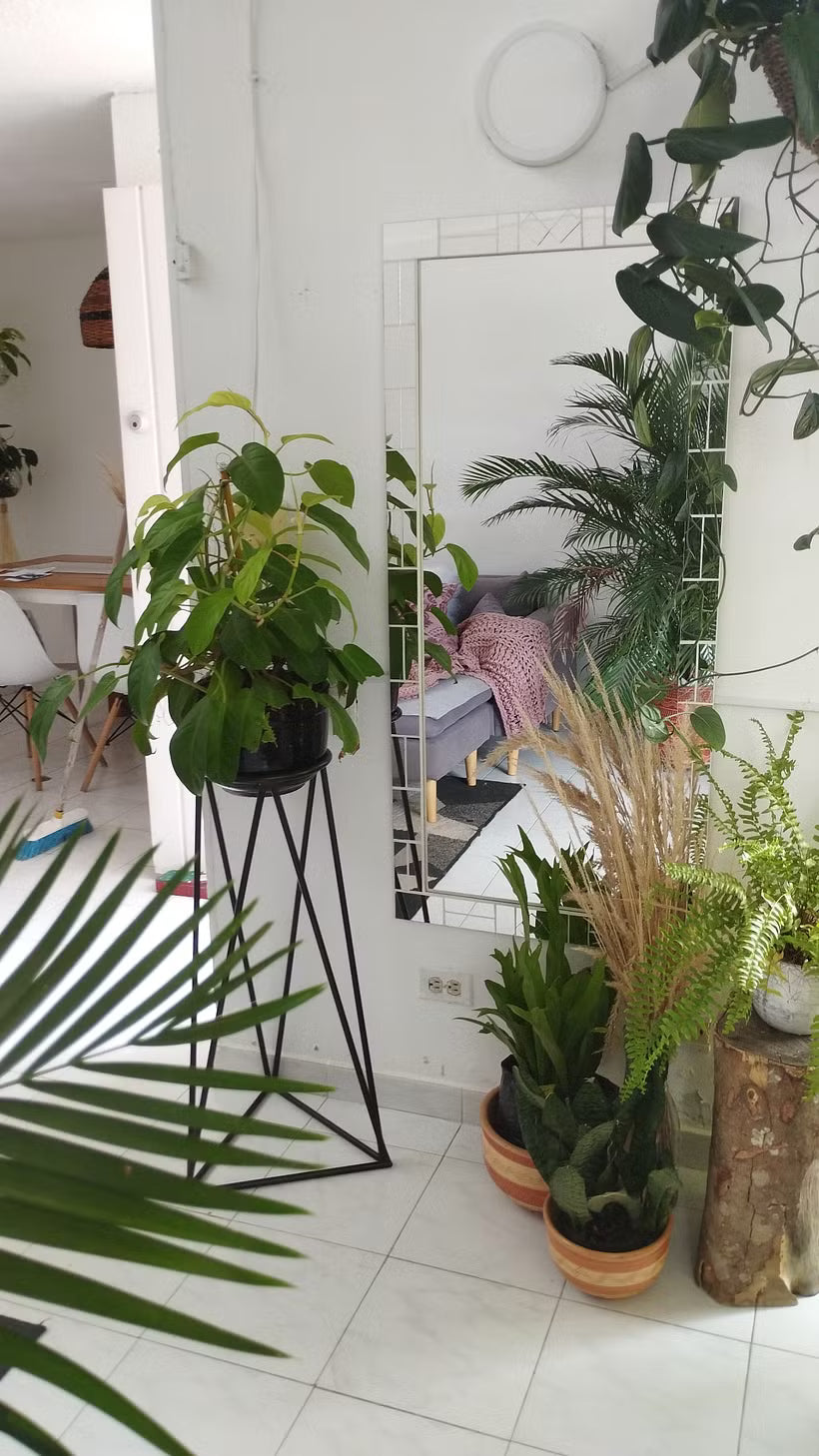 DOMESTIKA: DISEÑO DE INTERIORES CON PLANTAS DESDE CERO