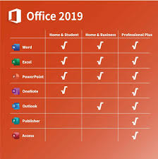 Licencia Office 2019 Professional Plus OEM (1 Dispositivo, Permanente)