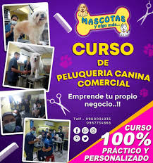 CURSO DE PELUQUERIA CANINA