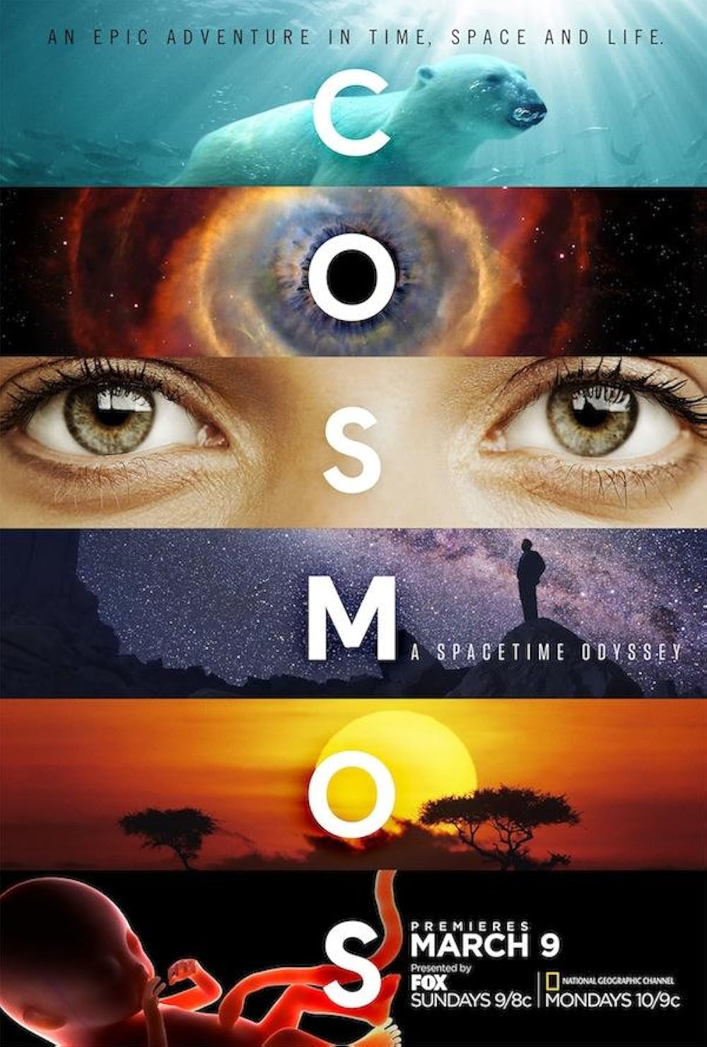 COSMOS: TEMPORADA 1 - EPISODIO 1