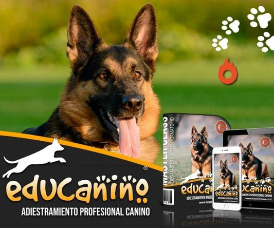 Super curso de adiestramiento canino Educanino