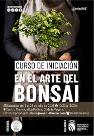 CURSO DE BONSAI